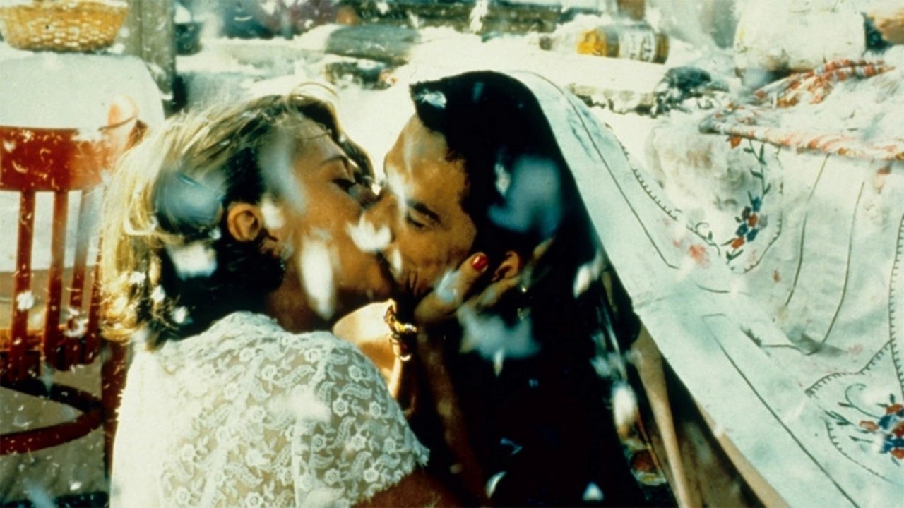 Klassiker/Emir Kusturica: Svart katt vit katt